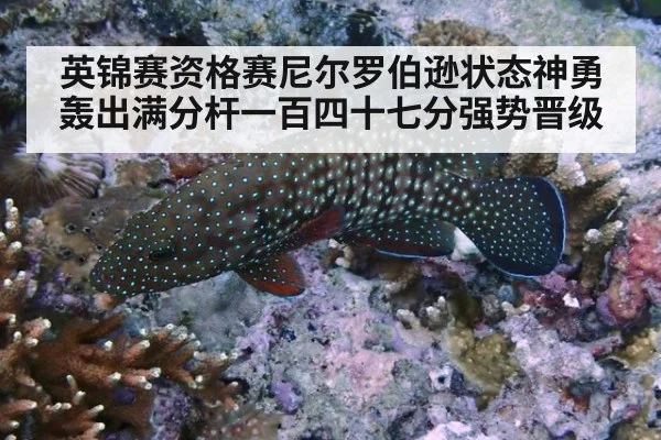 英锦赛资格赛尼尔罗伯逊状态神勇轰出满分杆一百四十七分强势晋级